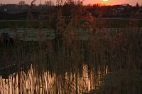 25.04.2013 20:09:24
Kuhschellen
Garchinger Umland
Garching
Galerie